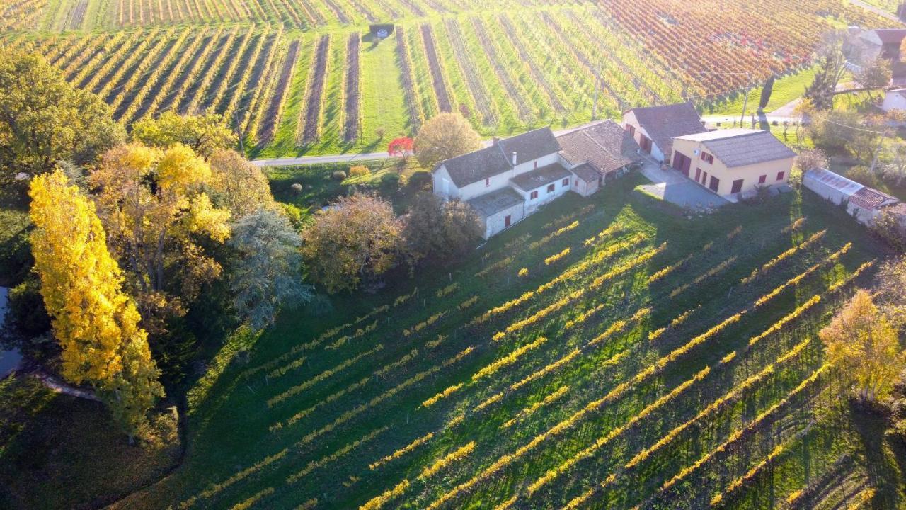 Vila Les Vignes Pomport Exteriér fotografie
