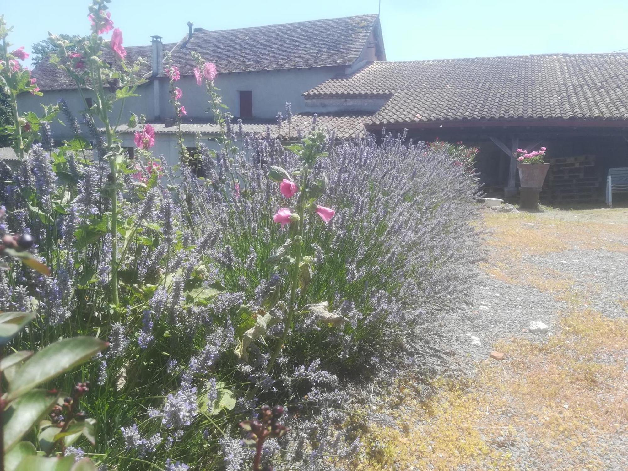 Vila Les Vignes Pomport Exteriér fotografie