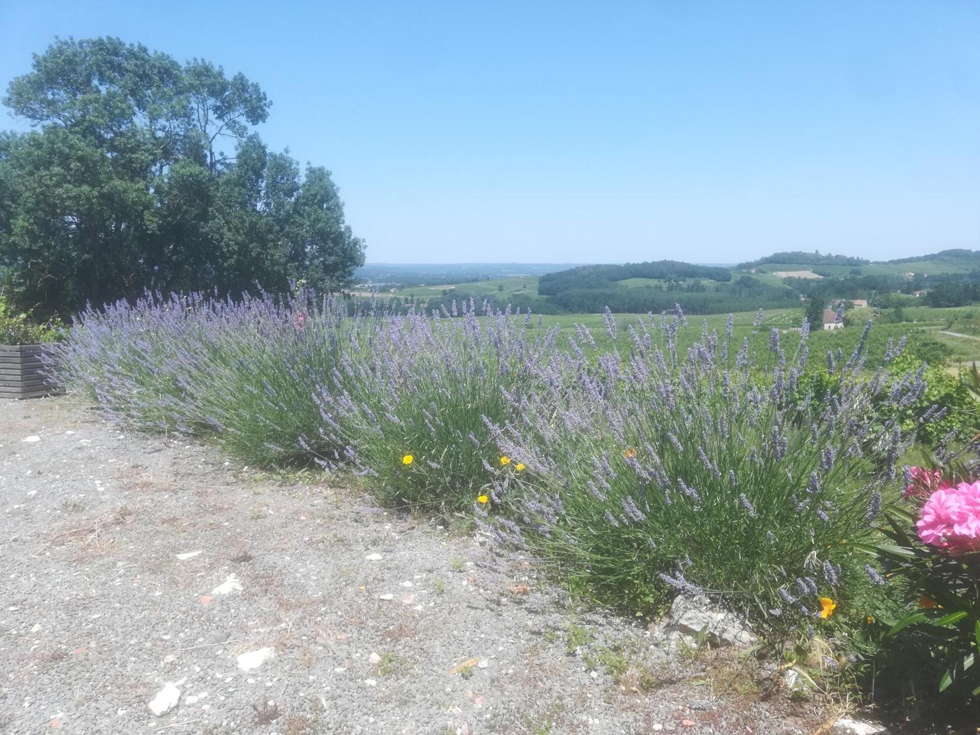 Vila Les Vignes Pomport Exteriér fotografie